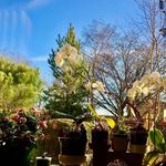 Kathy Callis - @kathyhamster - Instagram