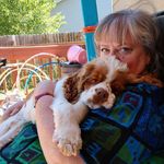 Kathy Callister - @kathycallister - Instagram