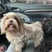 Kathy Canada - Facebook