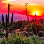 Kathy Capersino - @kathycapersino29 - Instagram