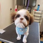Kathy Cappo - @cappokathy - Instagram