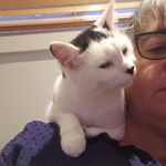 Kathy Carlin - @carlinkathy - Instagram