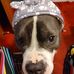 Kathy Casaday - Facebook