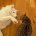 Kathy Catlin - Facebook