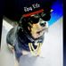 Kathy Cavaleri - Facebook