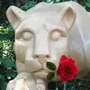 kathycentrellaolb - @kathycentrellaolb - TikTok