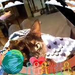 Cathy Challender - Facebook