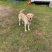 Kathy Chaney - Facebook