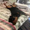 Kathy Chaney - @kathy.chaney4 - TikTok
