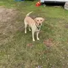 kathychaney1234 - @kathychaney1234 - TikTok