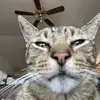 Kathy Charley - @kathy.charley - TikTok