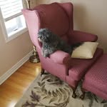 Kathy Charron - @kathy.charron.501 - Instagram
