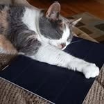 Kathy Charron - @charronkathy - Instagram