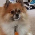 Kathy Cheney - @cheneykathy - Instagram