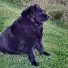 kathycheney4 - @kathy.cheney4 - TikTok