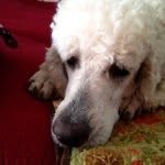 Kathy Childs - @kathycchilds - Instagram