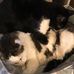 Kathy Chipman - Facebook