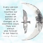 Kathy Cirillo - @kathy.cirillo.7 - Instagram