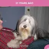 Kathy Webb Cirillo - @kathy.webb.cirill - TikTok