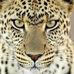 Kathy Cleary - Facebook