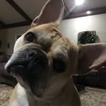 Kathy Click - @kathy.click.7 - Instagram