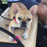Kathy Click - @kathyclick6 - Instagram