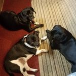 kathy clingerman - @kjwclingerman - Instagram