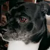 Kathy Clingerman - @kathy.clingerman7 - TikTok