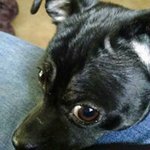 kclingerman - @kathyclingerman - Instagram