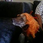 Kathy Clouse - @clousekathy - Instagram