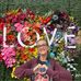 Kathie Cluff - Facebook