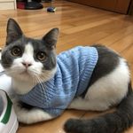 Kathycoffee - @kathycoffee4402 - Instagram