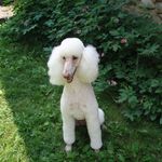 Kathy Barrett Cogan - @cogankathy - Instagram