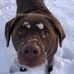 Kathy Cogan - Facebook
