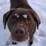 Kathy Cogan - @truffle0104 - Instagram