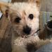 Kathy Coldiron - Facebook