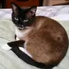 kathycolley563 - @kathycolley563 - TikTok