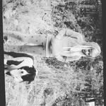 Kathy - @bordercolliekathy - Instagram
