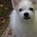 Kathy Collie - Facebook