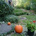 Kathy Robinson Collier - @kathycollier3 - Instagram