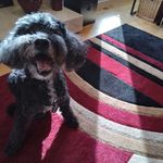 Kathy Colvin - @kathy.colvin.98 - Instagram