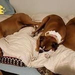Kathy Colvin - @colvin_kathy - Instagram