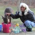 Kathy Colvin - @cipig84099 - Instagram