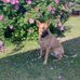 Kathy Conklin - Facebook