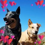 Kathy Conklin - @kathy_conklin1 - Instagram