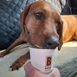 Kathy Conklin Gatton - @kathyi26 - Instagram