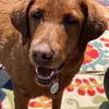 kathyconklin - @kathyconklin - TikTok