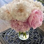 Kathy Conlon Whitehurst - @kathy.c.whitehurst - Instagram