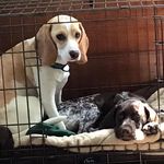Kathy Coombs - @riverlife684 - Instagram