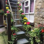 Kathy Saunders Coombs - @ckclickner - Instagram